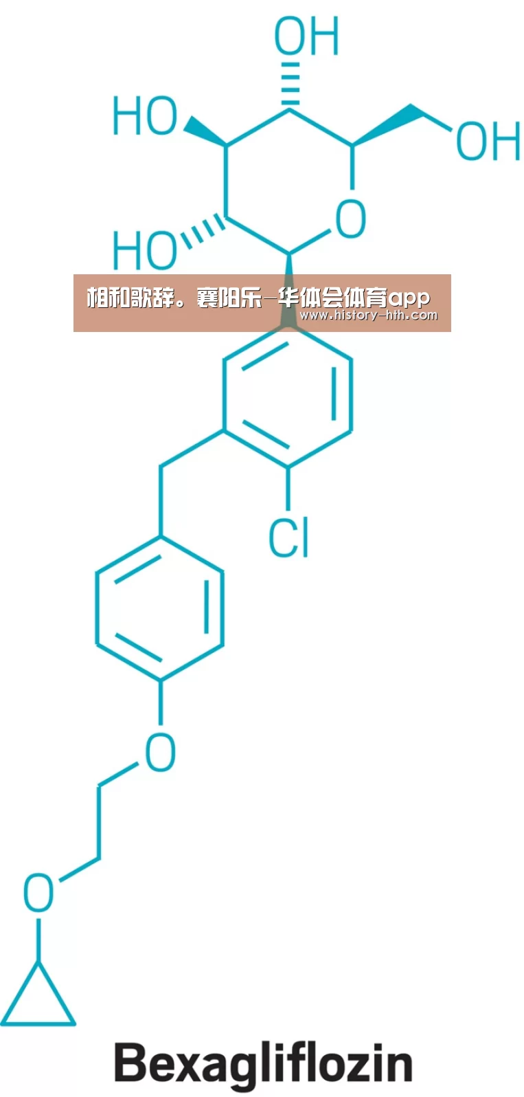 华体会体育官网